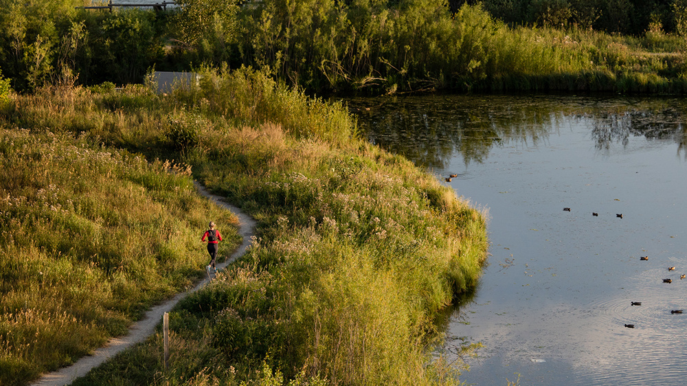 Wellness-Creeks Wellness-Creeks